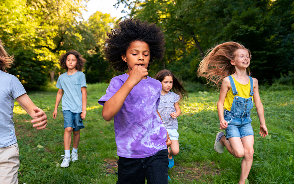 Interactive activities